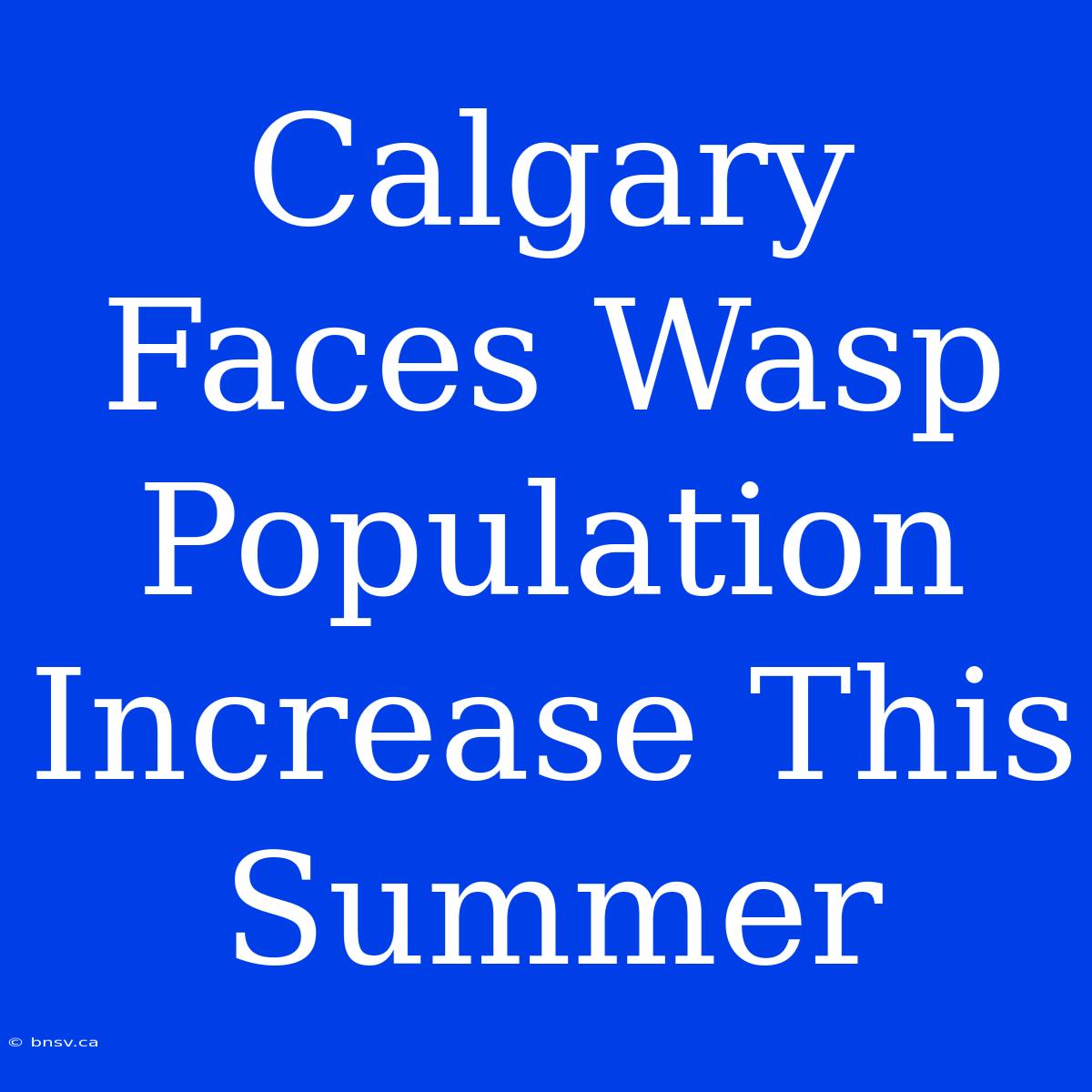 Calgary Faces Wasp Population Increase This Summer