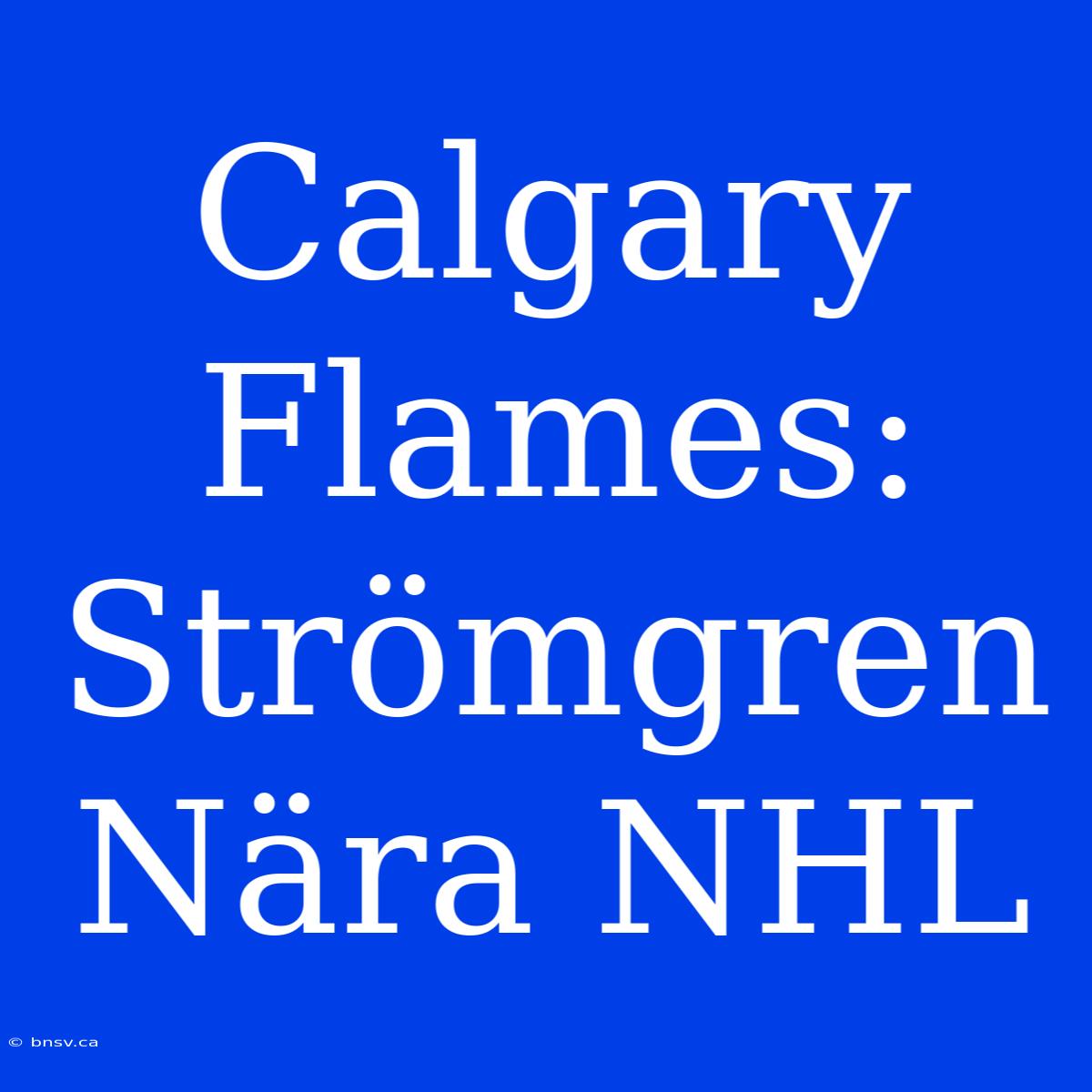 Calgary Flames: Strömgren Nära NHL