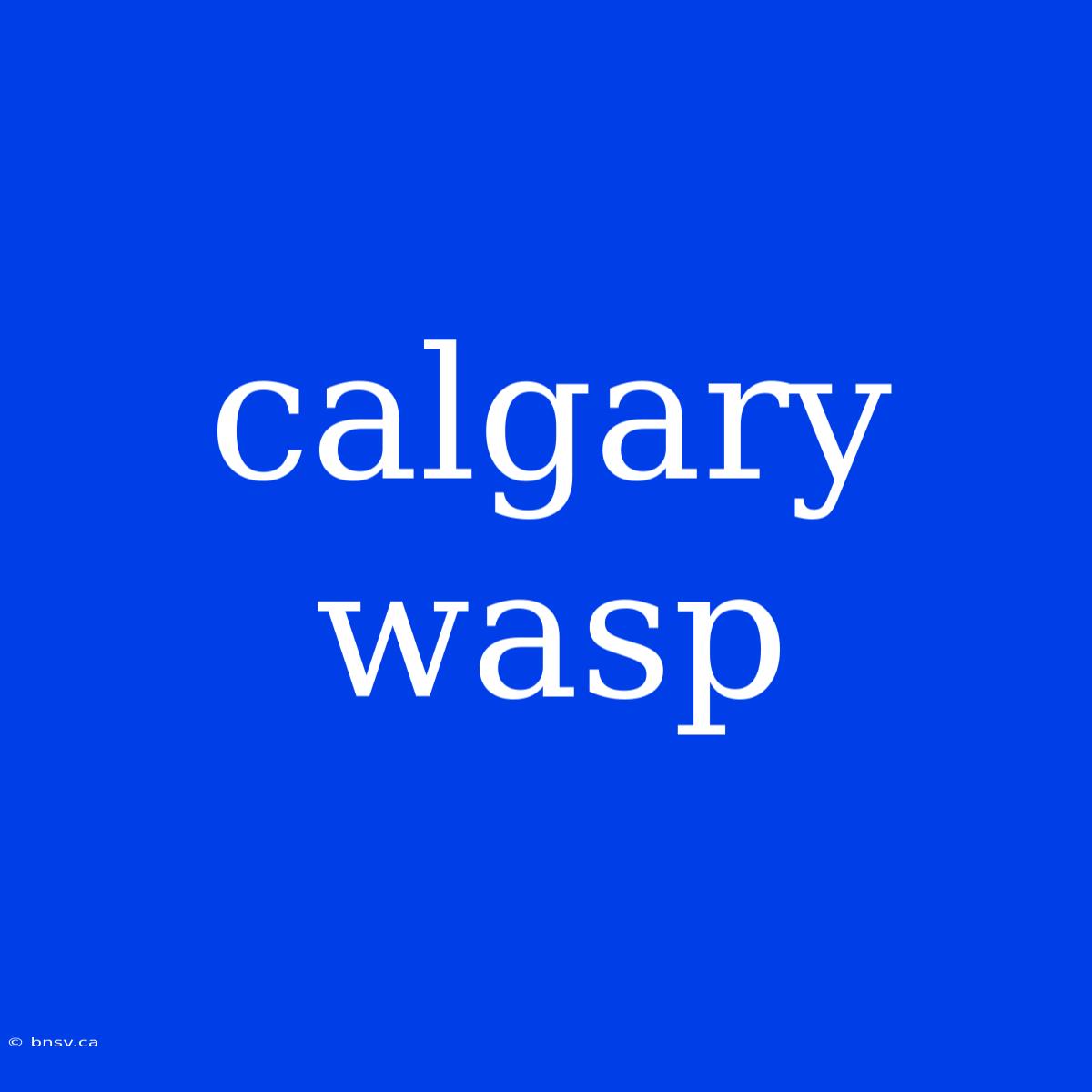 Calgary Wasp