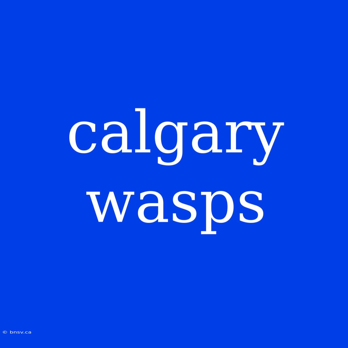 Calgary Wasps