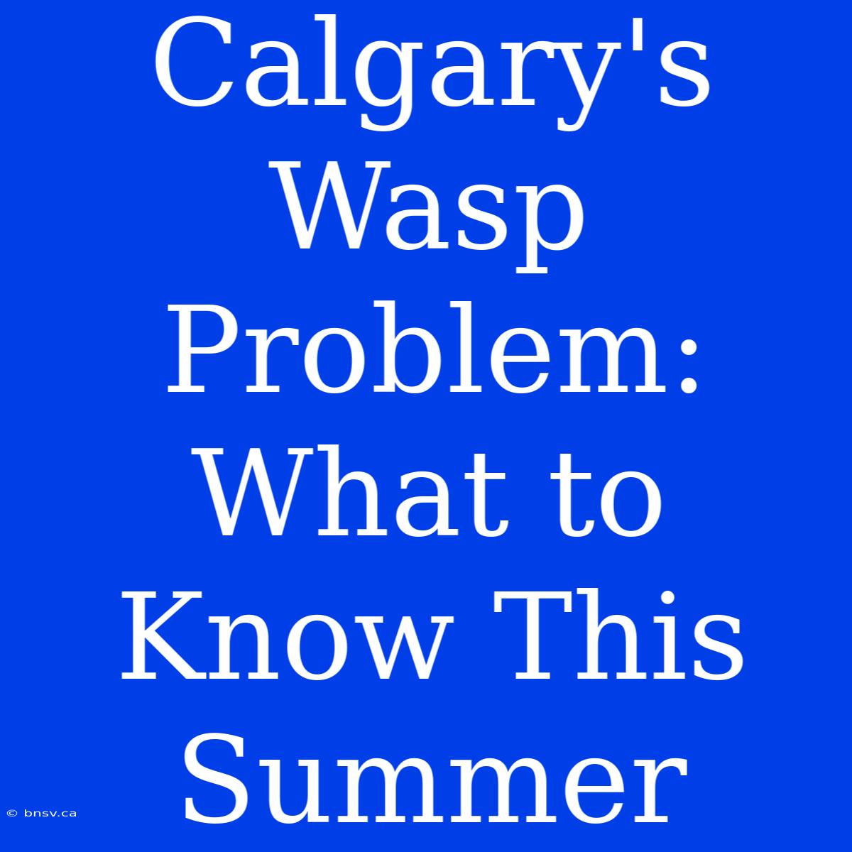 Calgary's Wasp Problem: What To Know This Summer