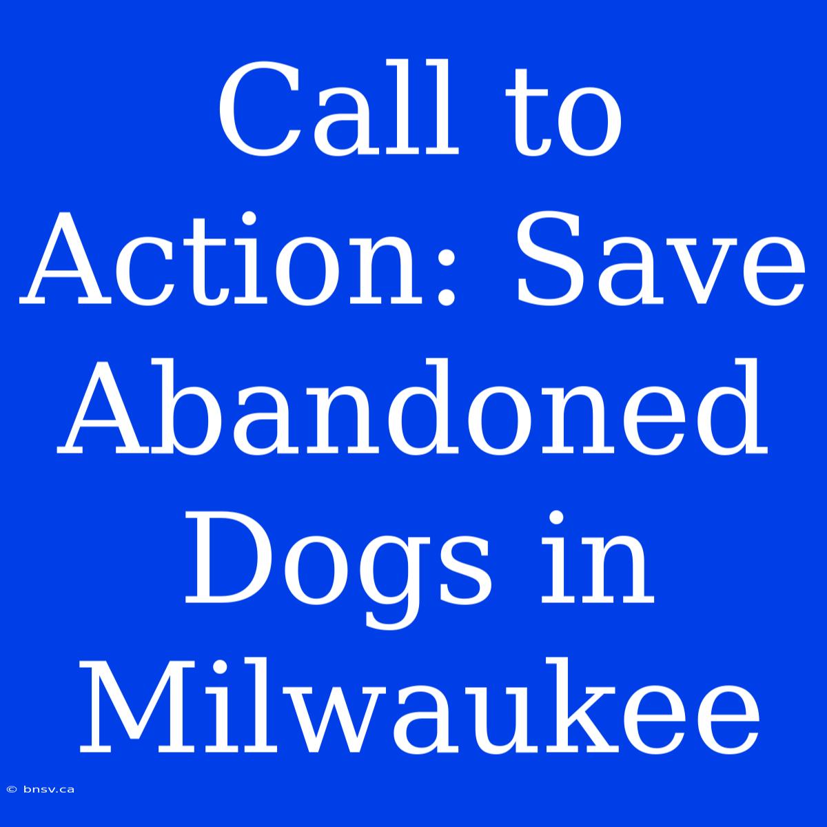 Call To Action: Save Abandoned Dogs In Milwaukee