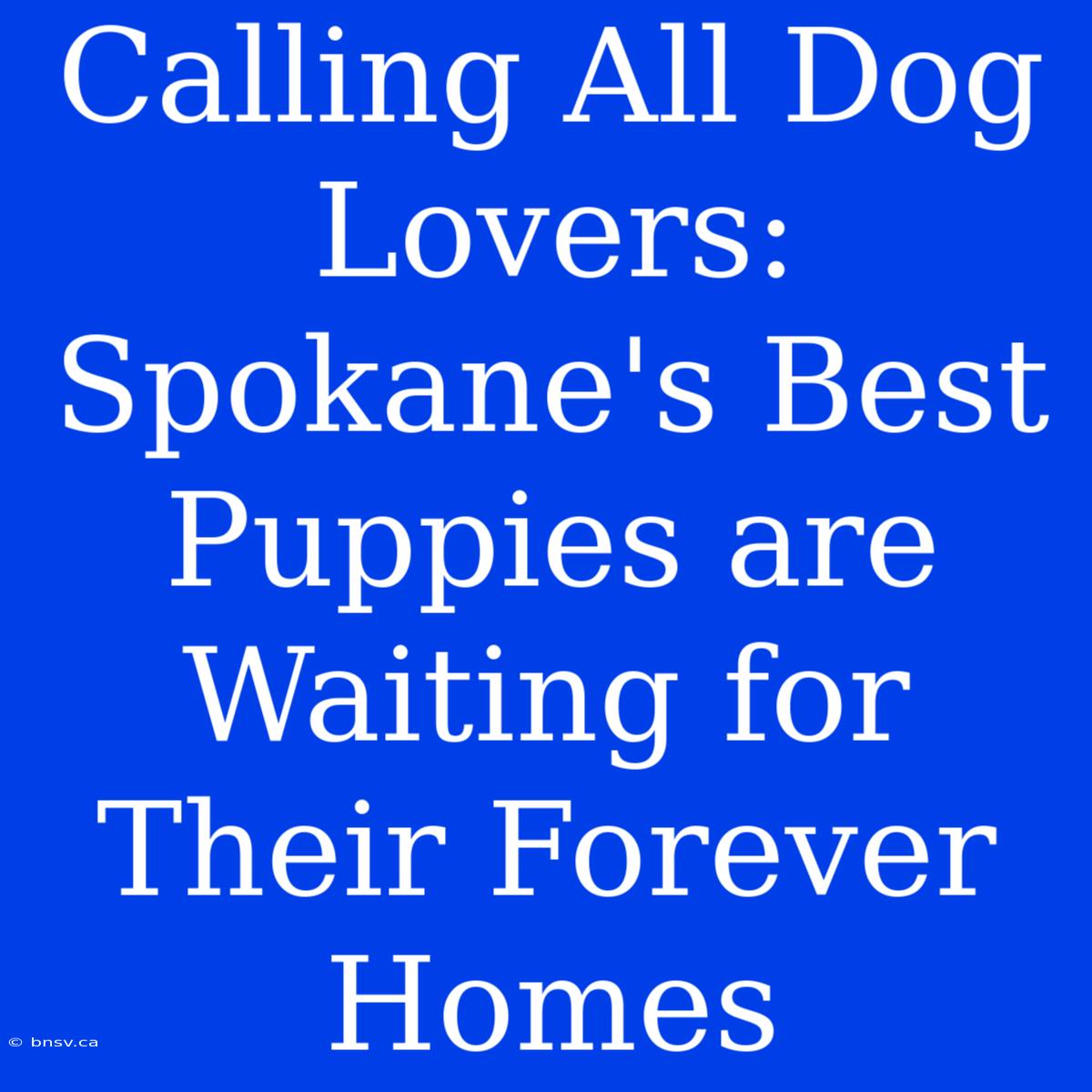 Calling All Dog Lovers: Spokane's Best Puppies Are Waiting For Their Forever Homes