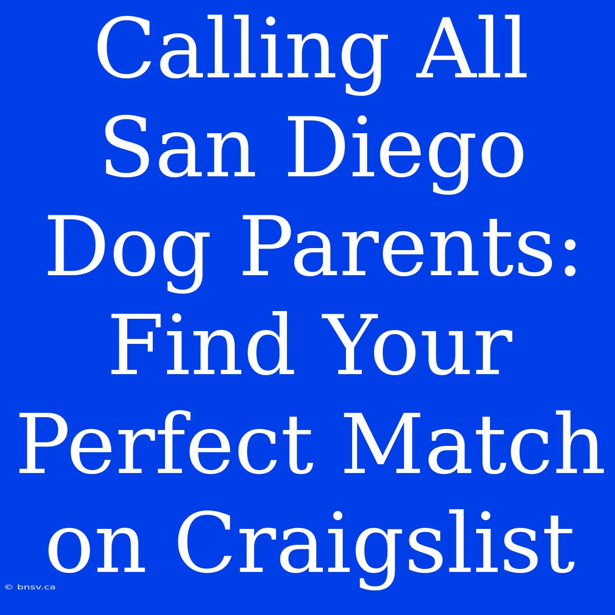 Calling All San Diego Dog Parents: Find Your Perfect Match On Craigslist