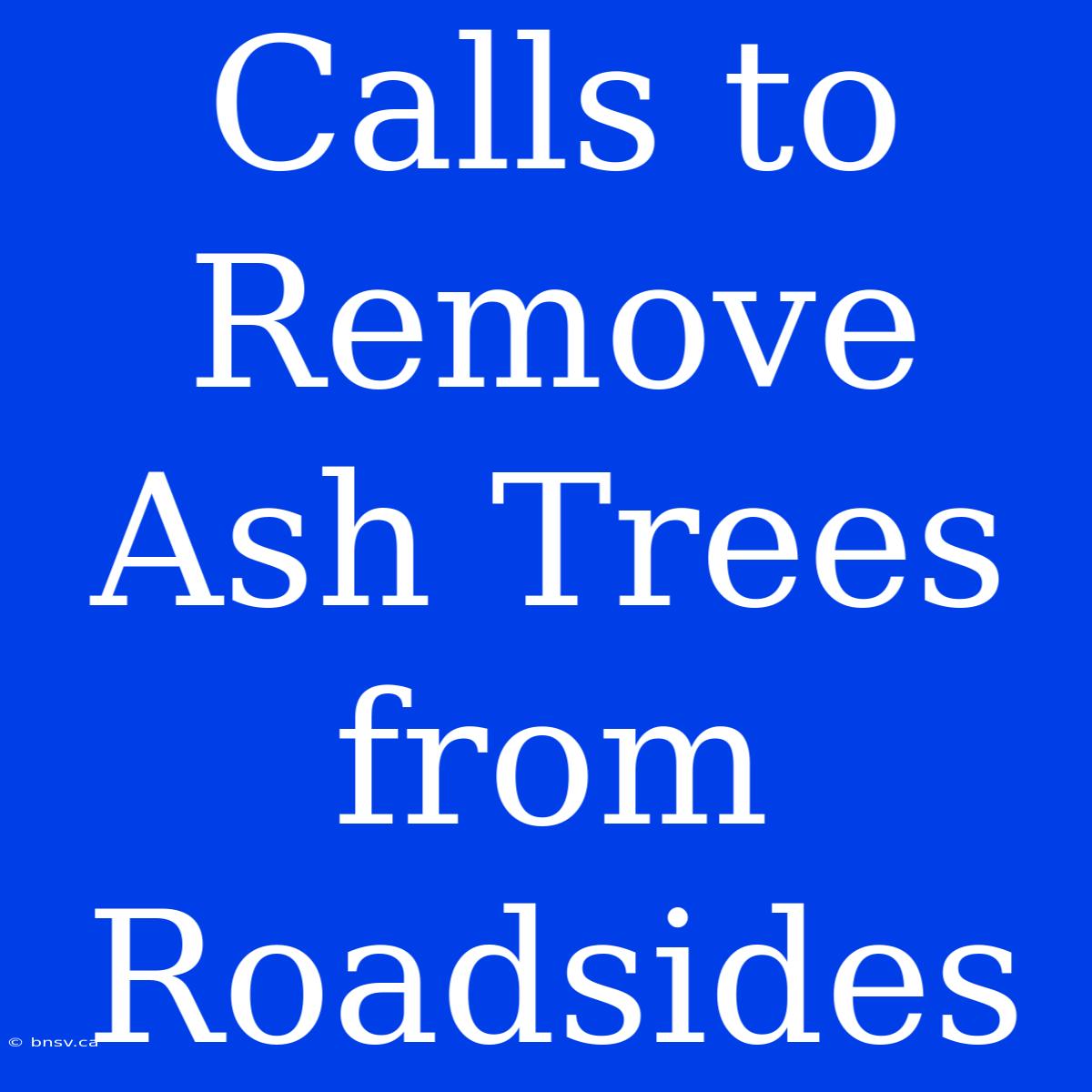 Calls To Remove Ash Trees From Roadsides