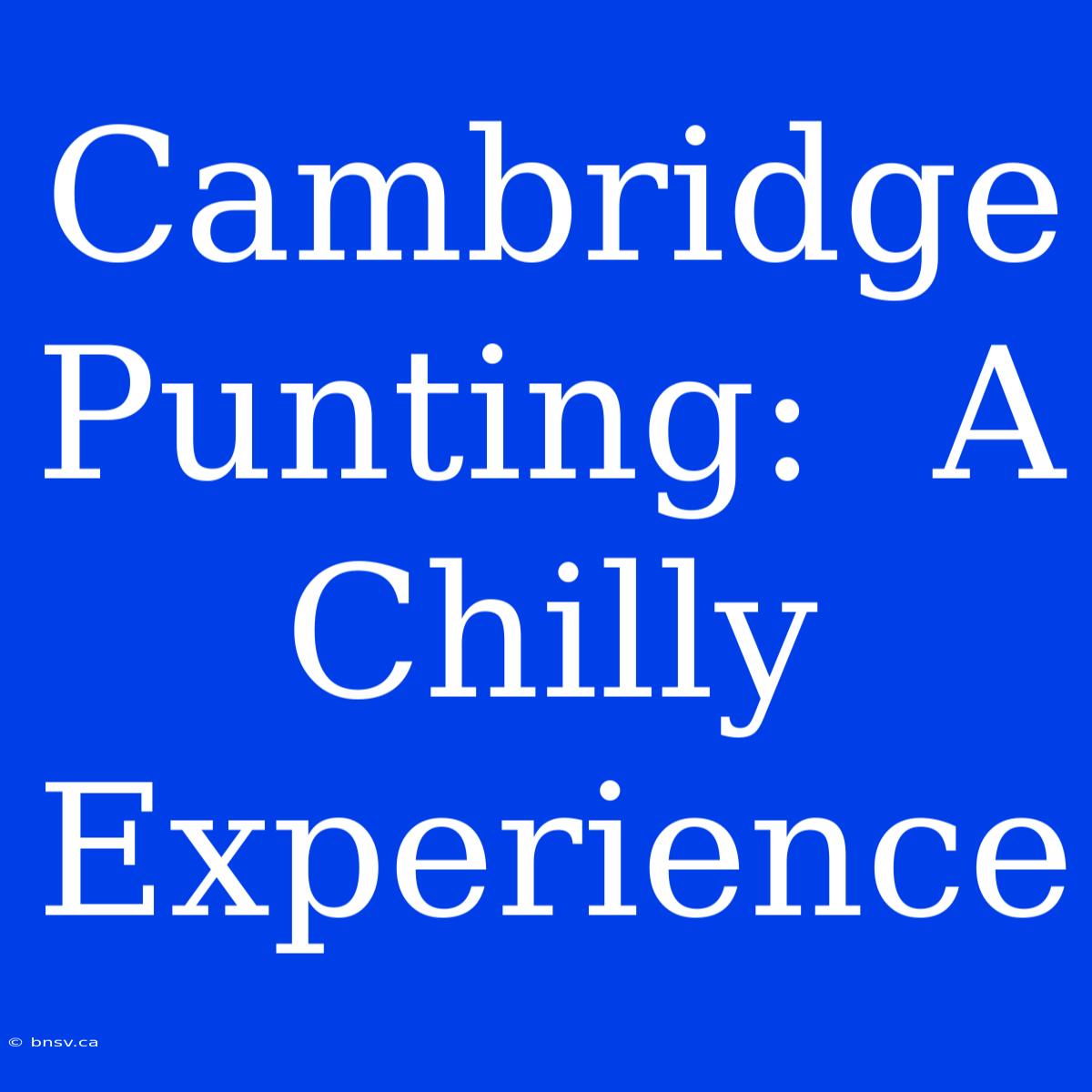 Cambridge Punting:  A Chilly Experience