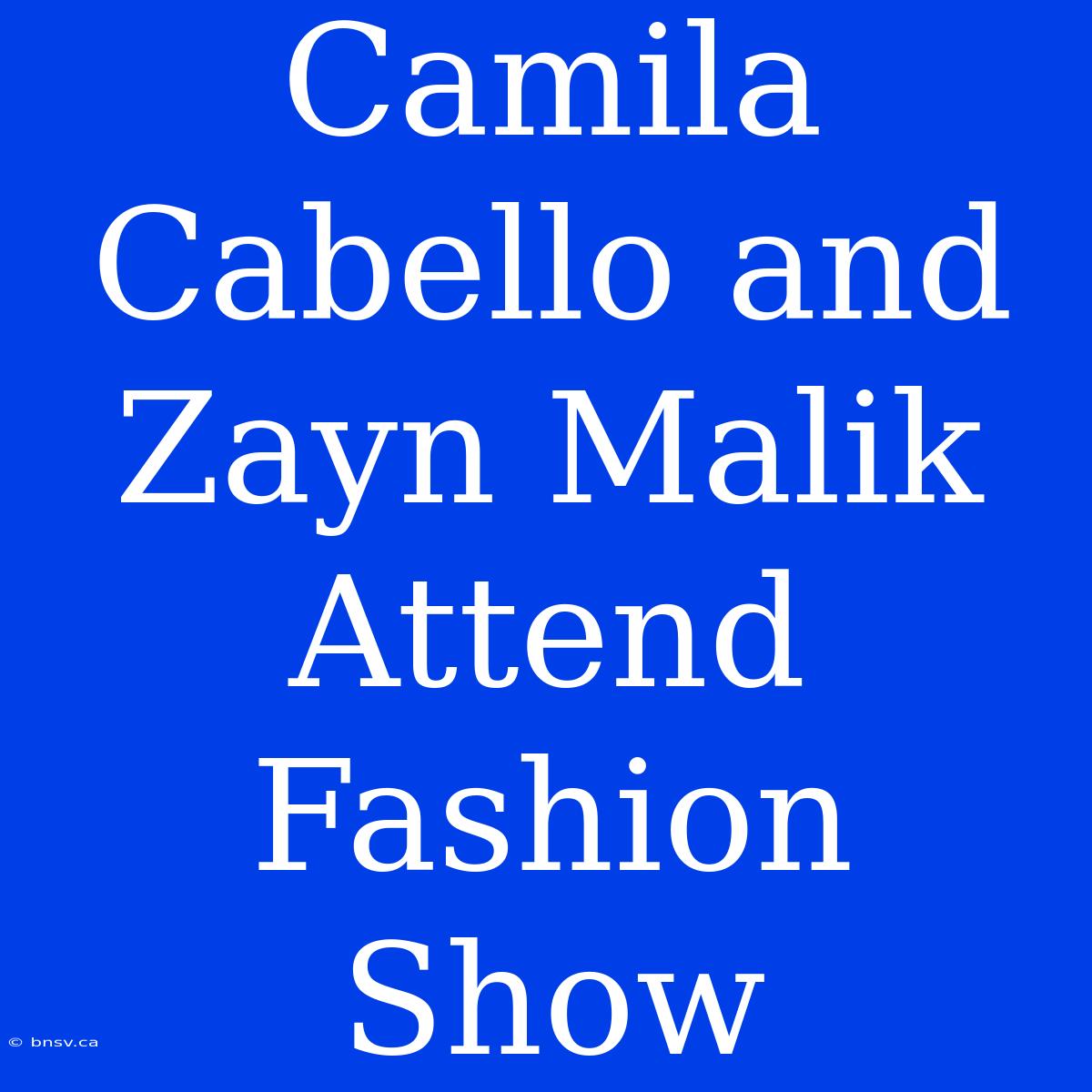 Camila Cabello And Zayn Malik Attend Fashion Show