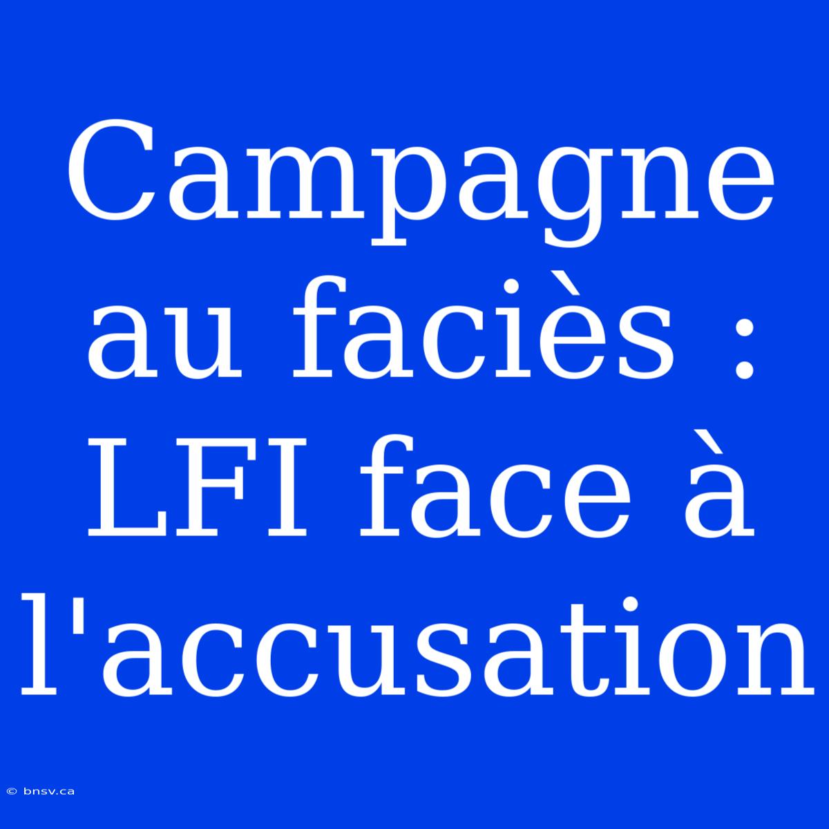 Campagne Au Faciès : LFI Face À L'accusation