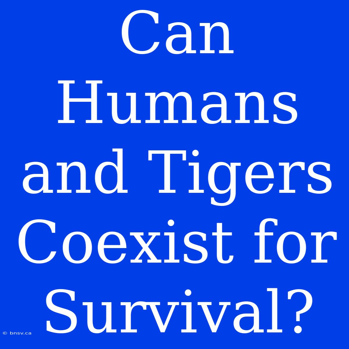 Can Humans And Tigers Coexist For Survival?