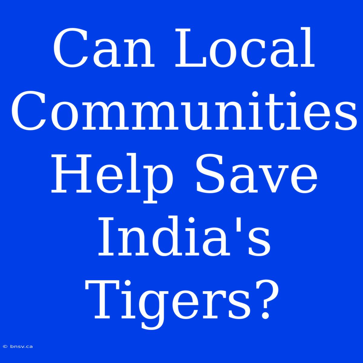 Can Local Communities Help Save India's Tigers?