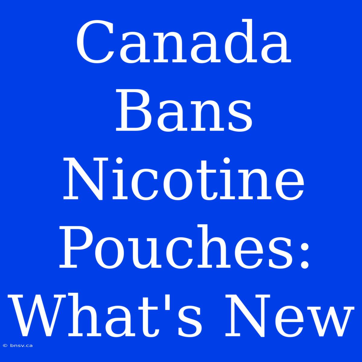 Canada Bans Nicotine Pouches: What's New