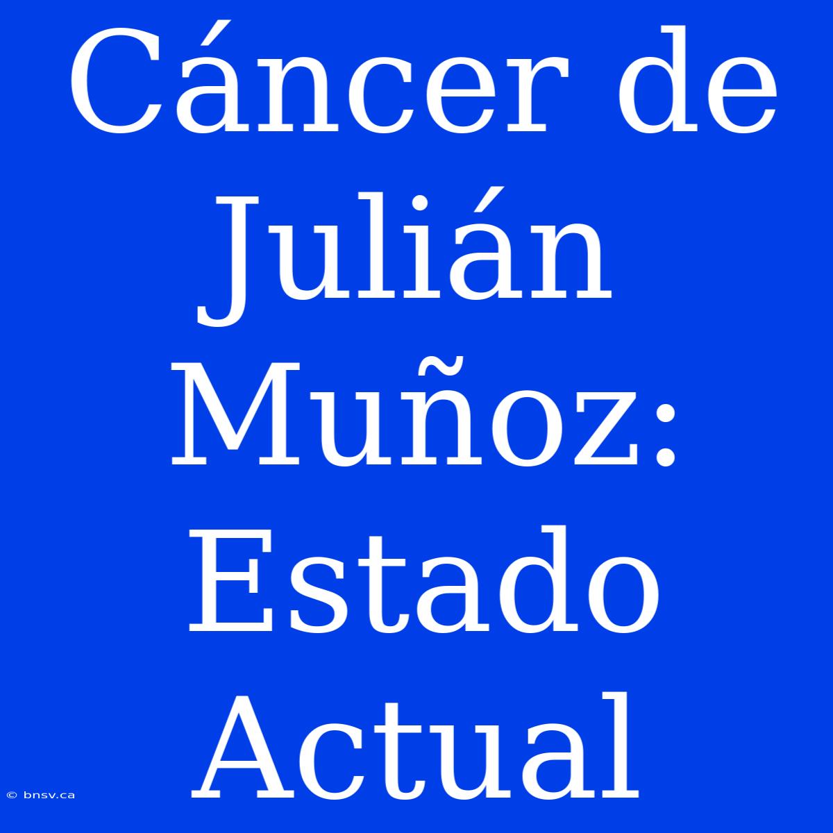 Cáncer De Julián Muñoz: Estado Actual