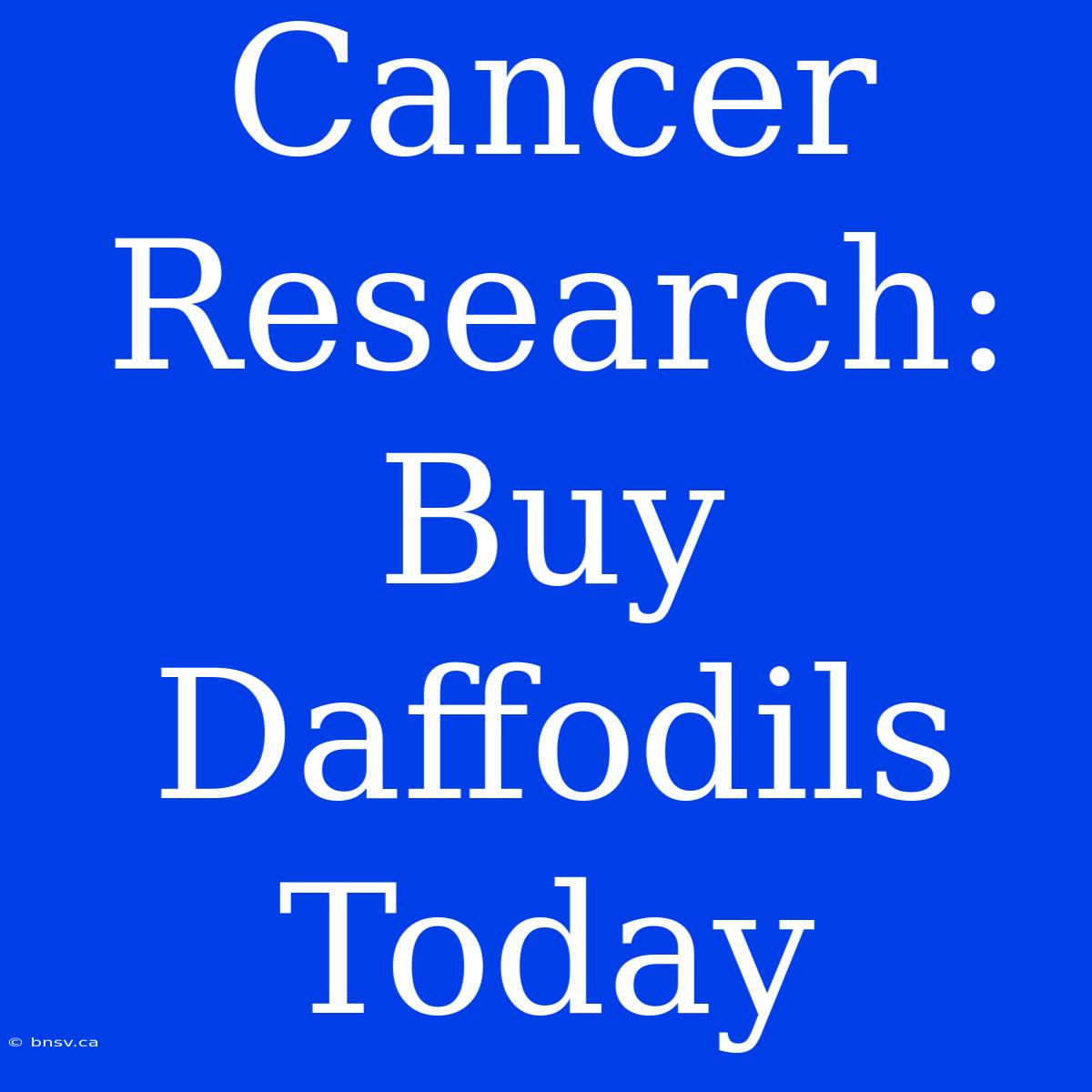 Cancer Research: Buy Daffodils Today