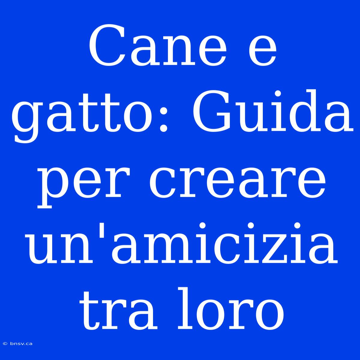 Cane E Gatto: Guida Per Creare Un'amicizia Tra Loro