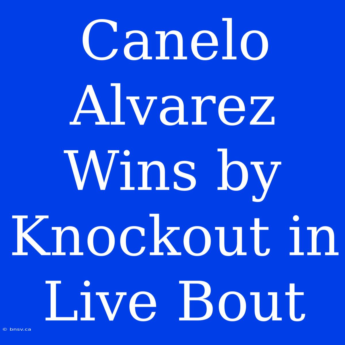 Canelo Alvarez Wins By Knockout In Live Bout