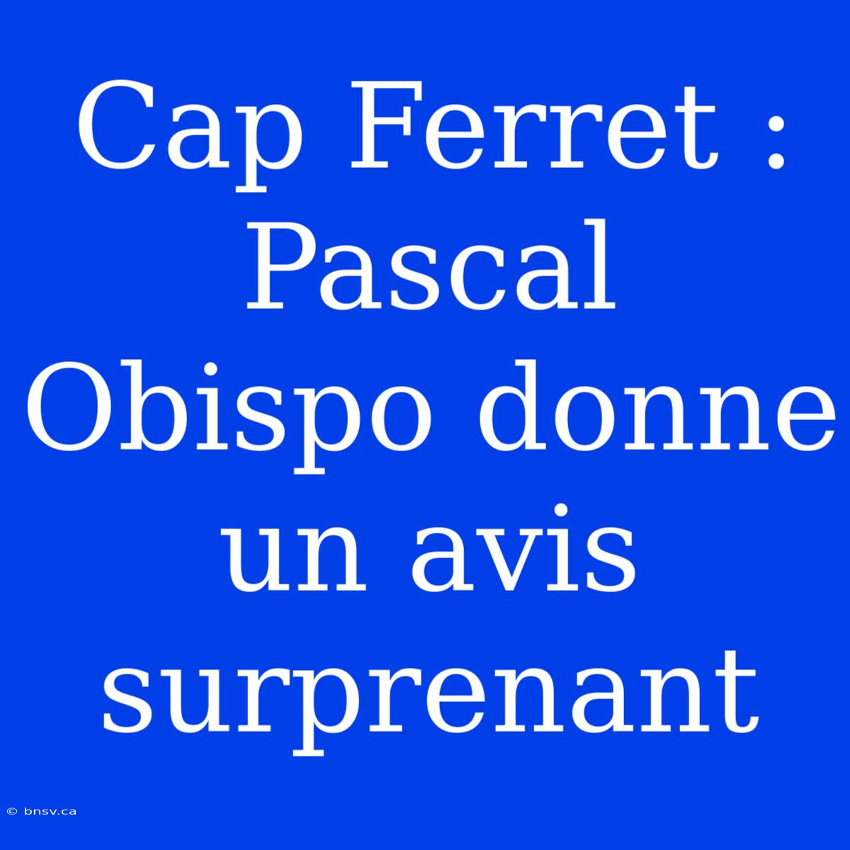 Cap Ferret : Pascal Obispo Donne Un Avis Surprenant