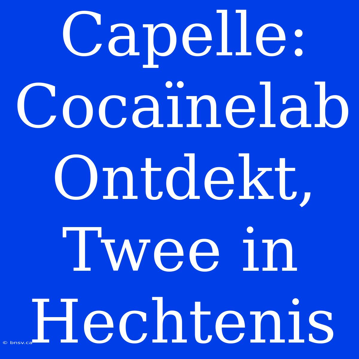 Capelle: Cocaïnelab Ontdekt, Twee In Hechtenis