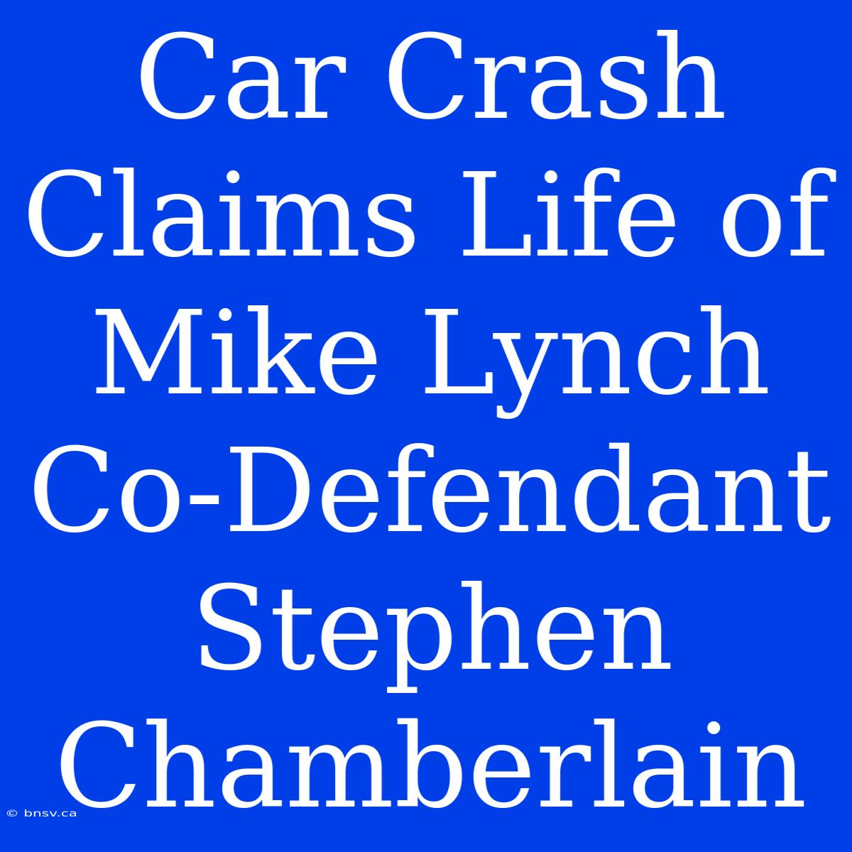 Car Crash Claims Life Of Mike Lynch Co-Defendant Stephen Chamberlain