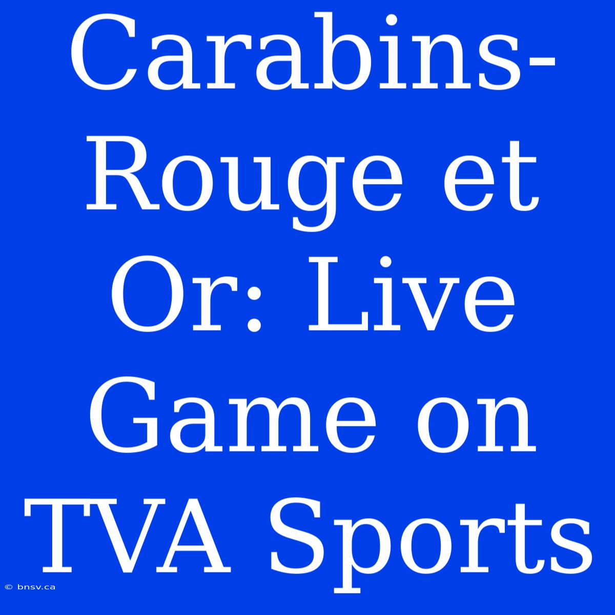 Carabins-Rouge Et Or: Live Game On TVA Sports