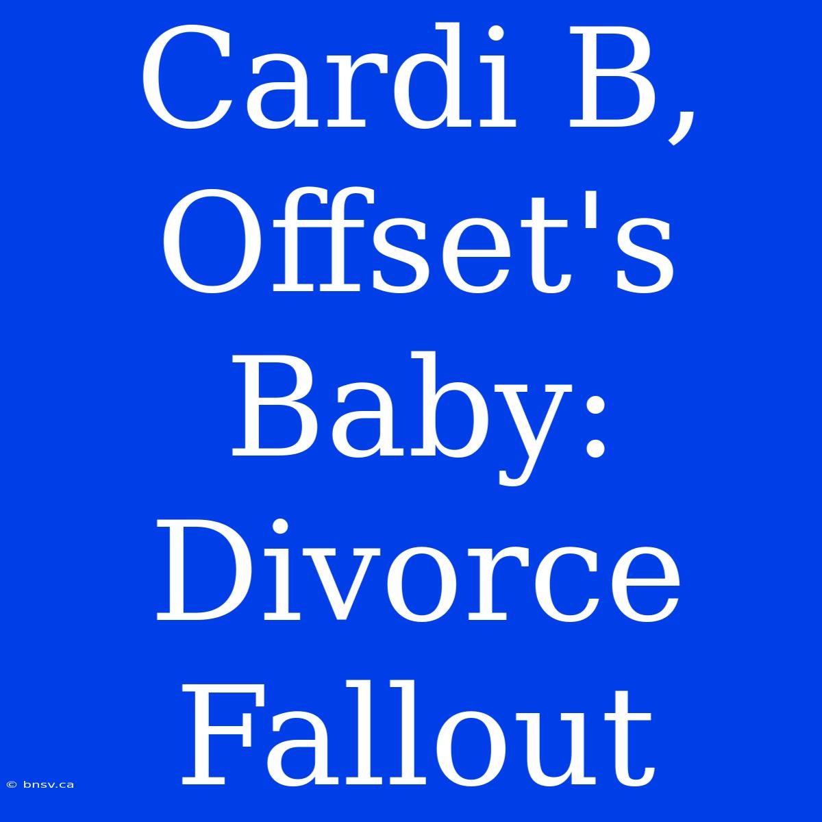 Cardi B, Offset's Baby: Divorce Fallout