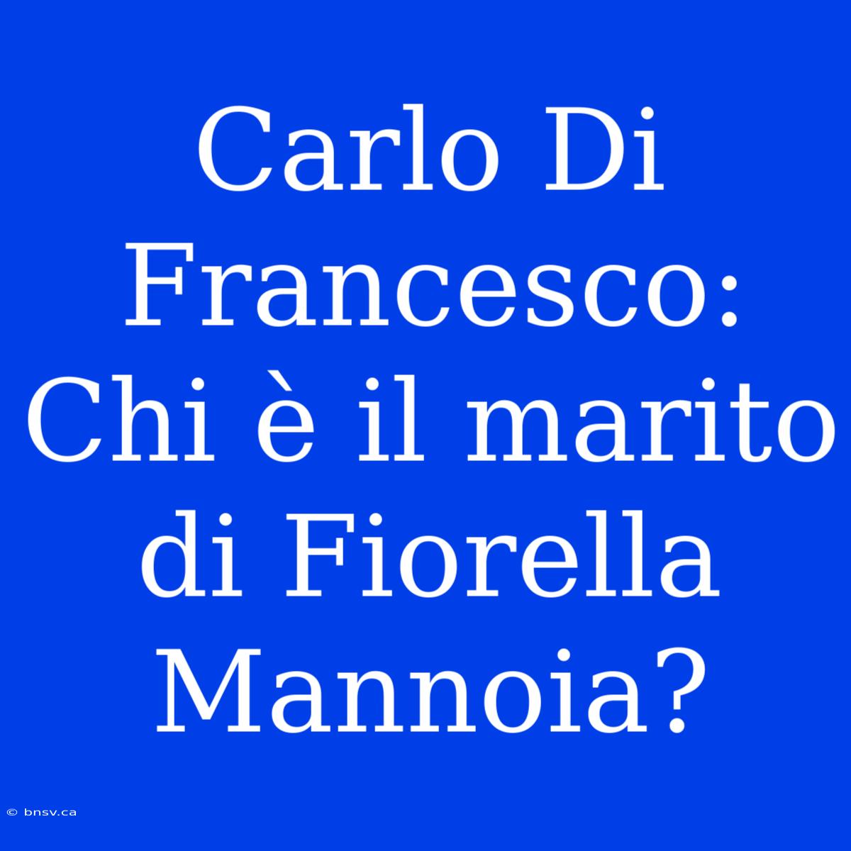 Carlo Di Francesco: Chi È Il Marito Di Fiorella Mannoia?