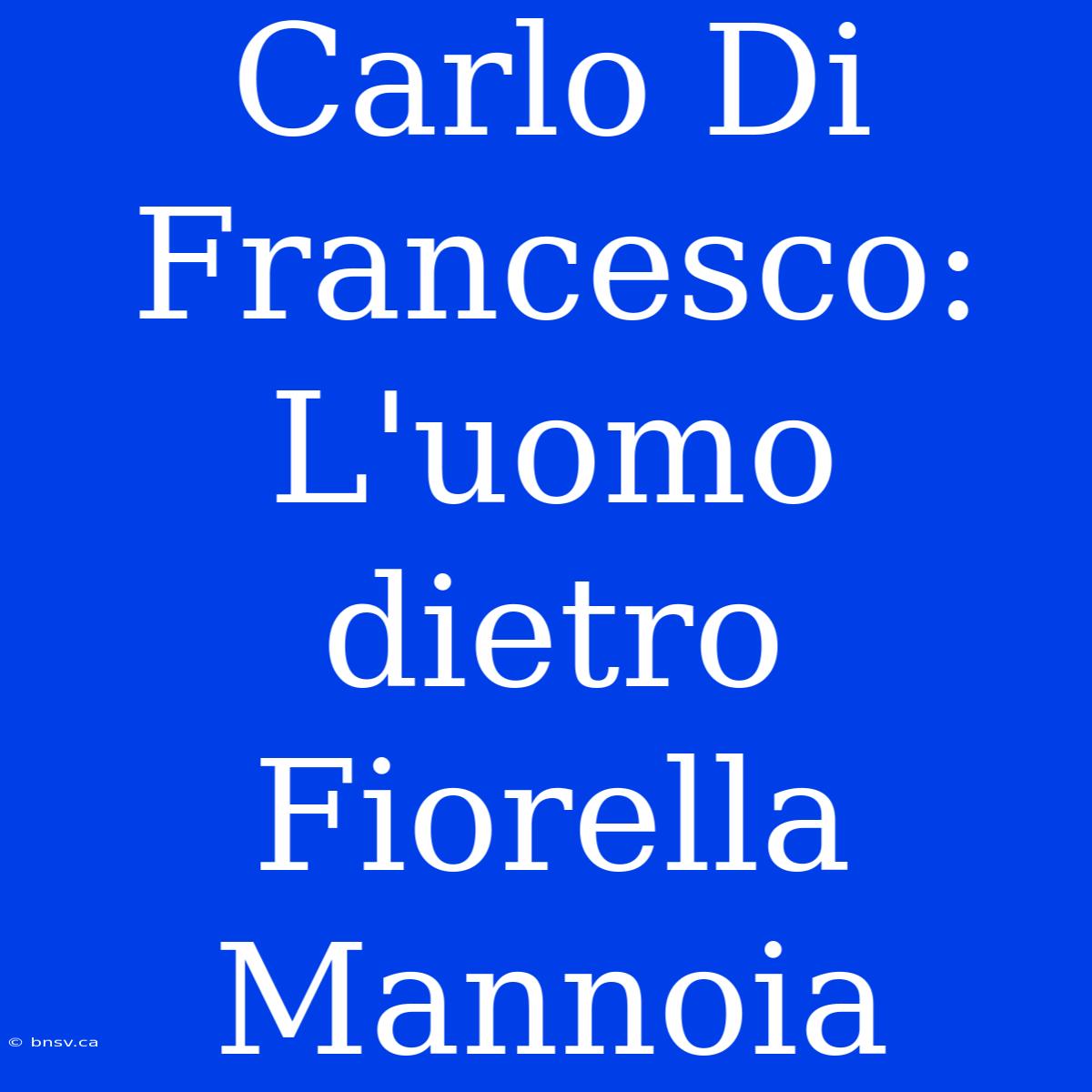 Carlo Di Francesco: L'uomo Dietro Fiorella Mannoia