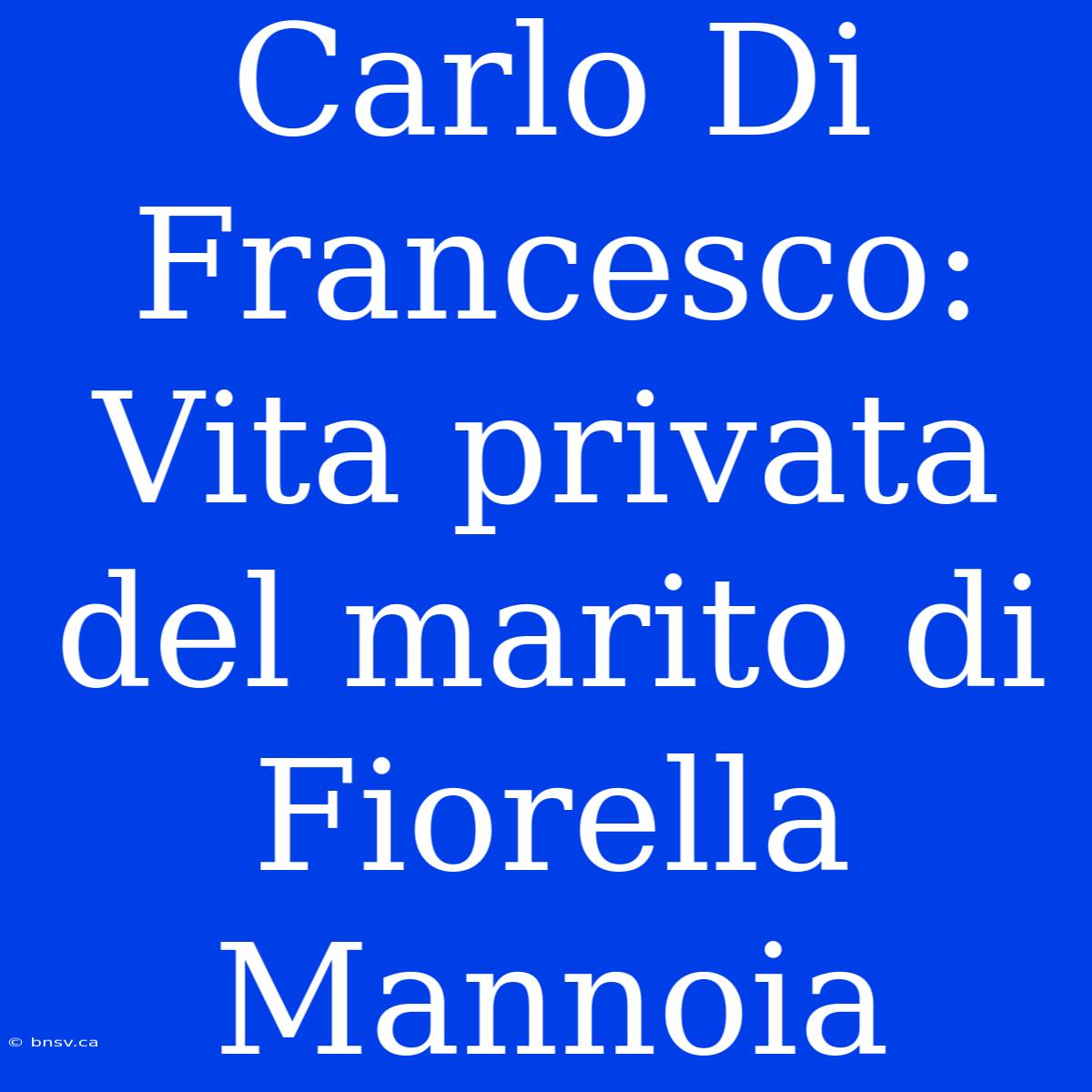 Carlo Di Francesco: Vita Privata Del Marito Di Fiorella Mannoia