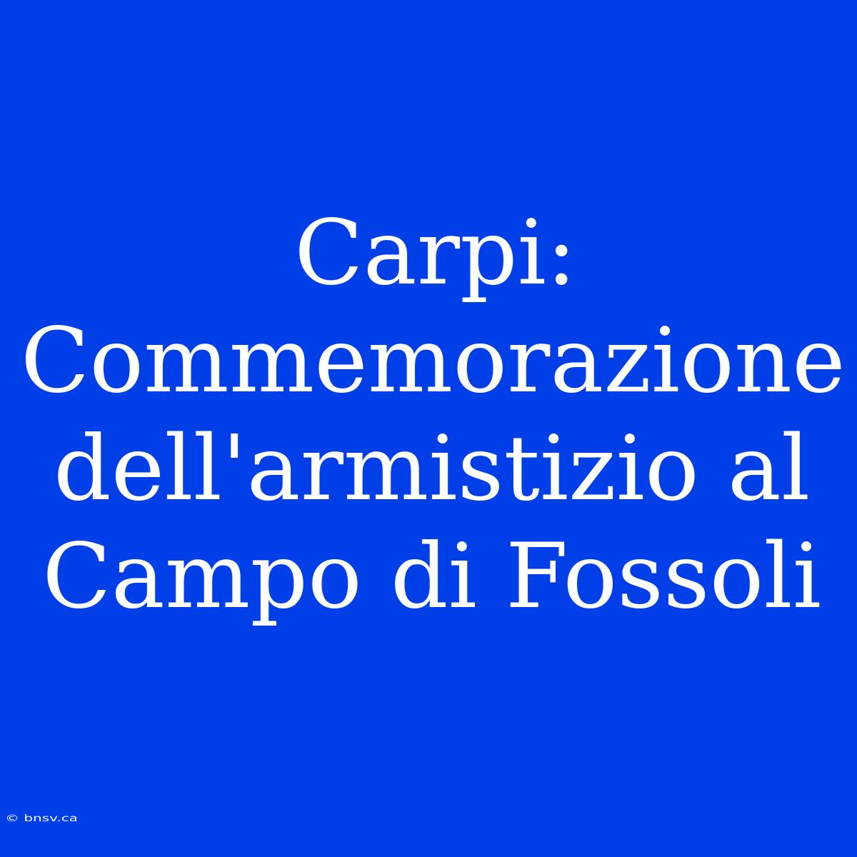 Carpi: Commemorazione Dell'armistizio Al Campo Di Fossoli