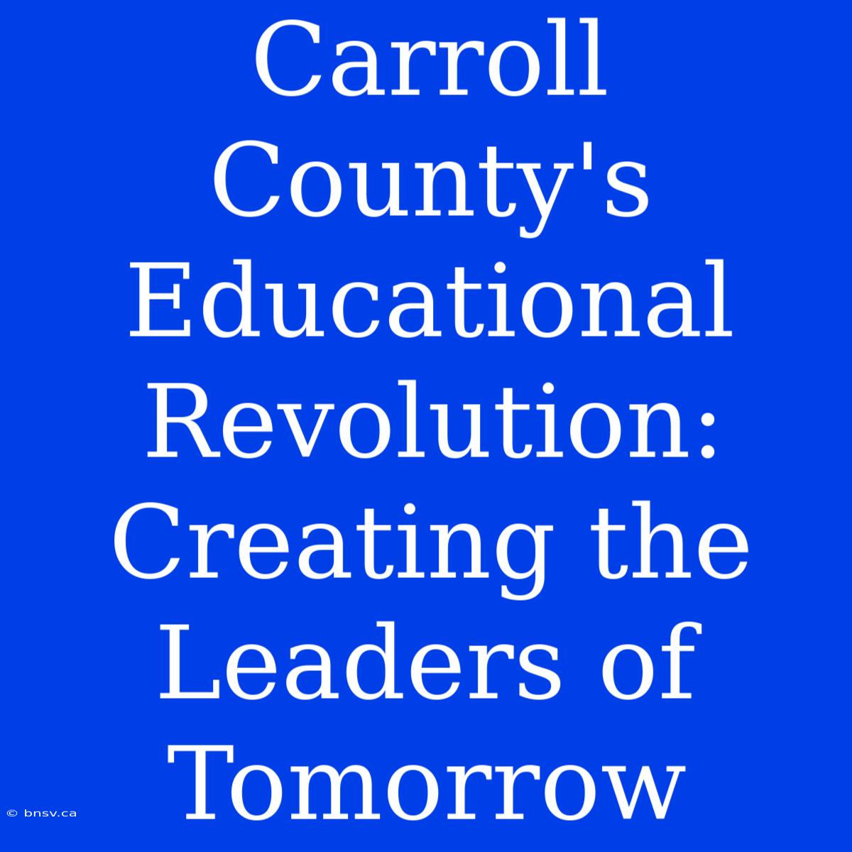 Carroll County's Educational Revolution: Creating The Leaders Of Tomorrow