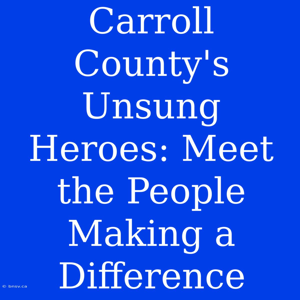 Carroll County's Unsung Heroes: Meet The People Making A Difference