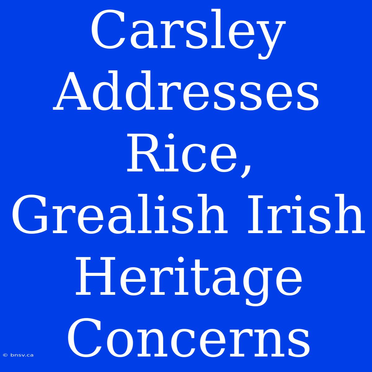 Carsley Addresses Rice, Grealish Irish Heritage Concerns