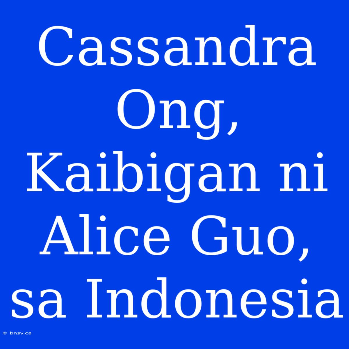 Cassandra Ong, Kaibigan Ni Alice Guo, Sa Indonesia