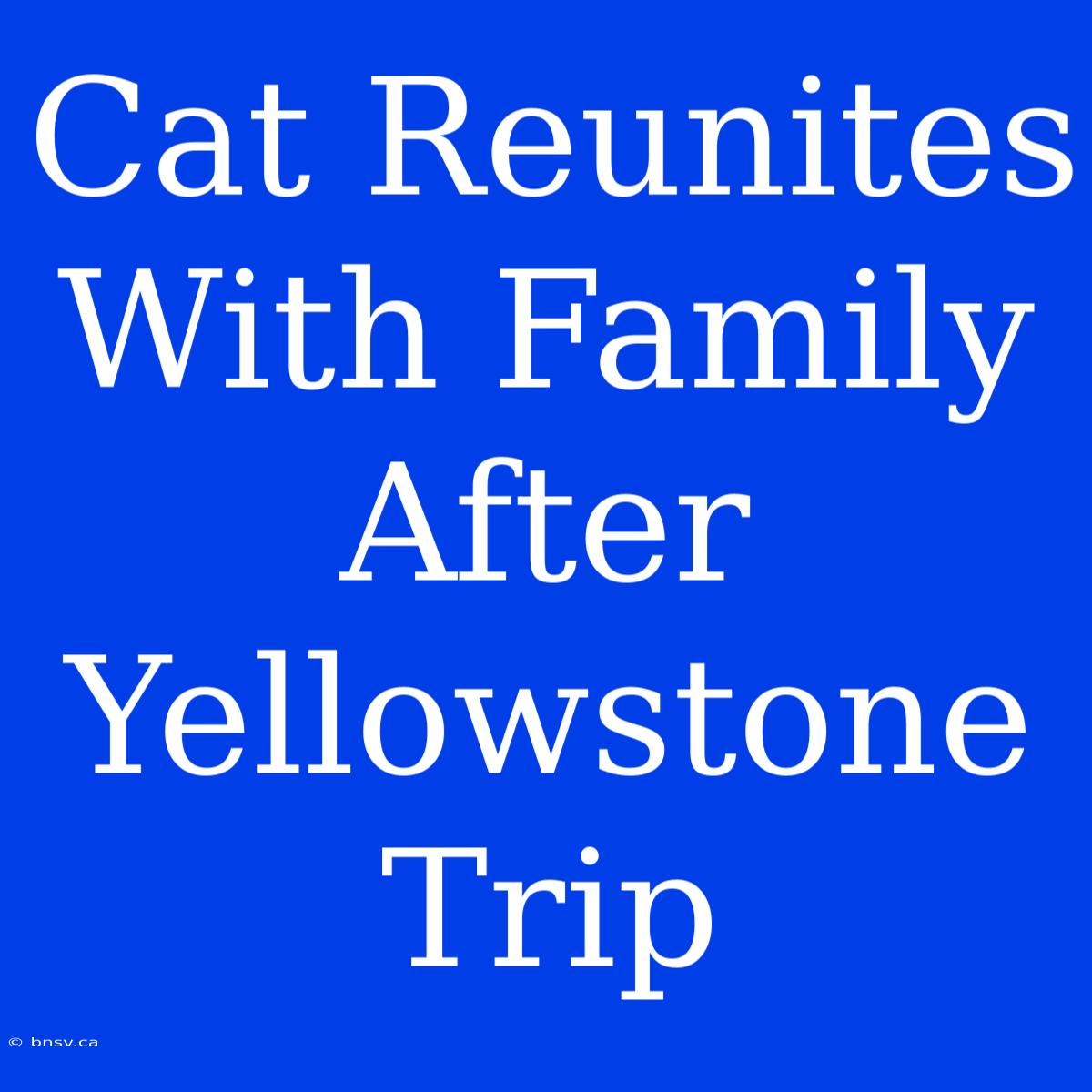 Cat Reunites With Family After Yellowstone Trip