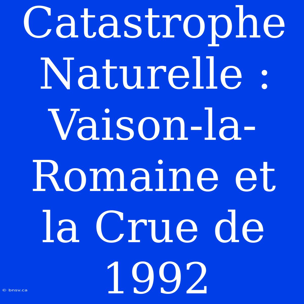 Catastrophe Naturelle : Vaison-la-Romaine Et La Crue De 1992