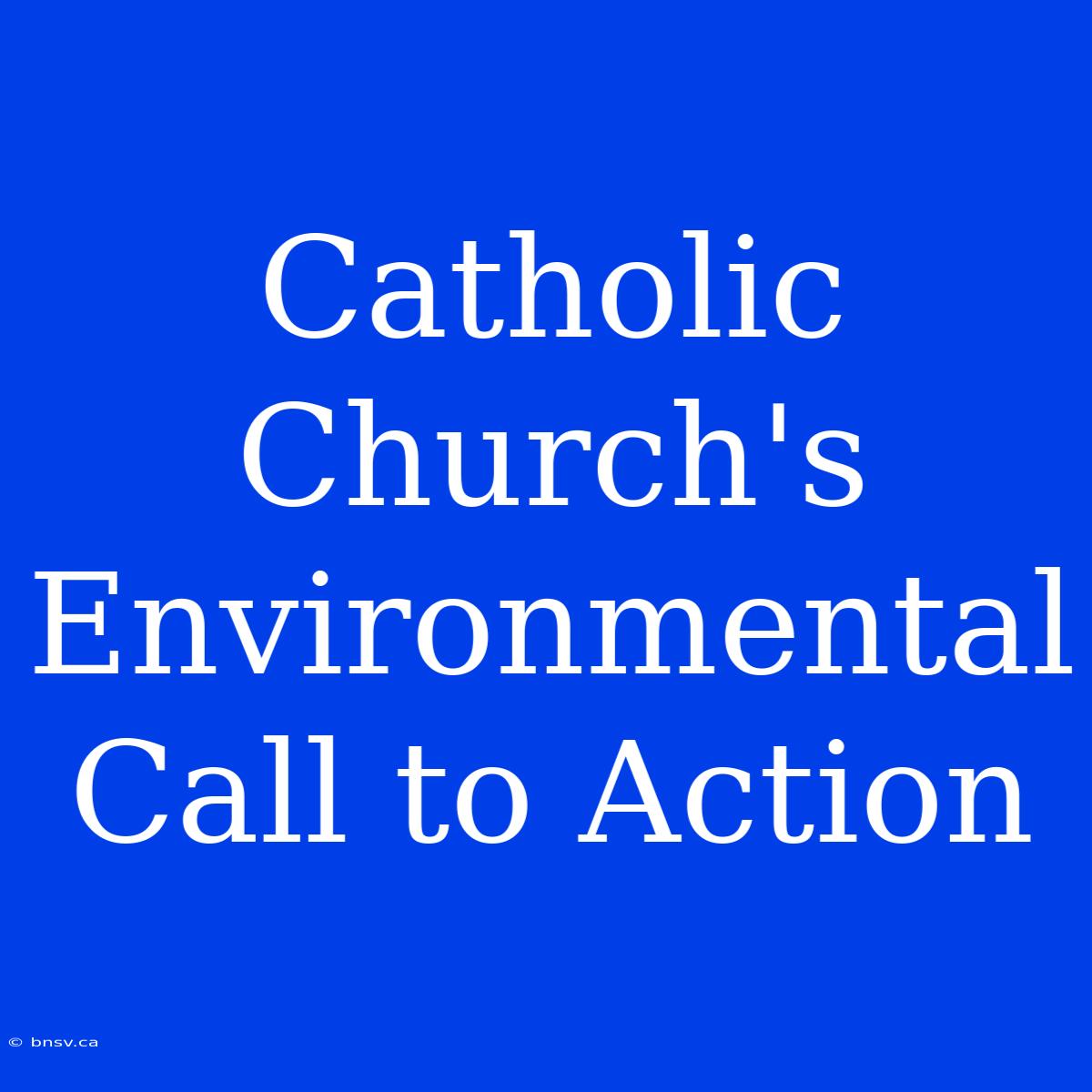 Catholic Church's Environmental Call To Action