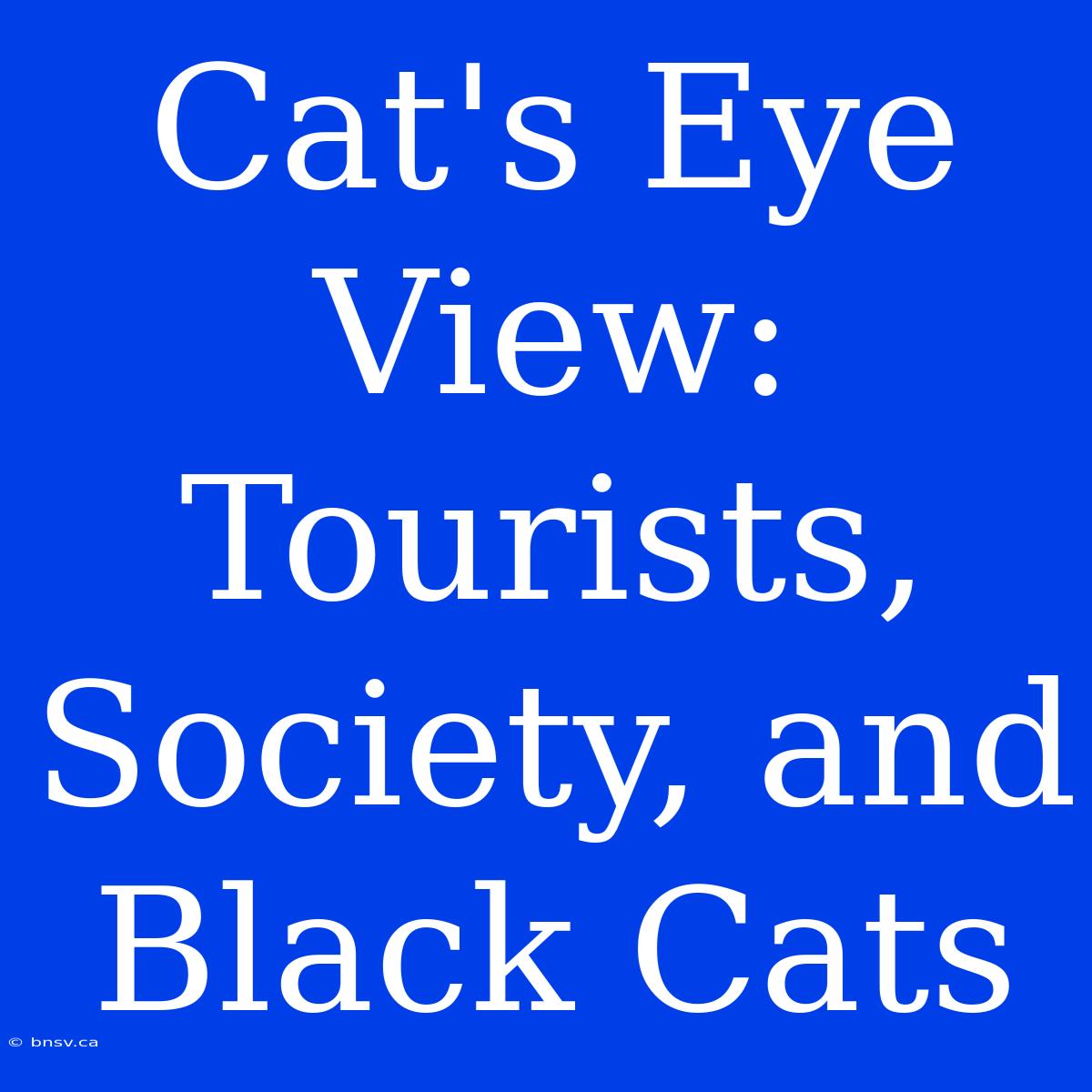 Cat's Eye View: Tourists, Society, And Black Cats