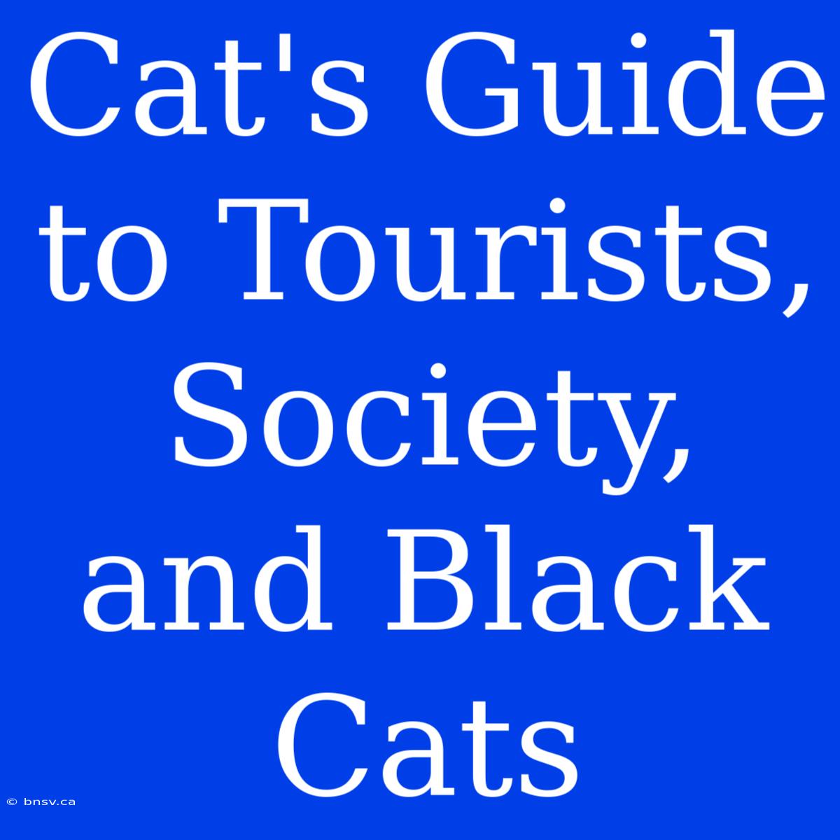 Cat's Guide To Tourists, Society, And Black Cats