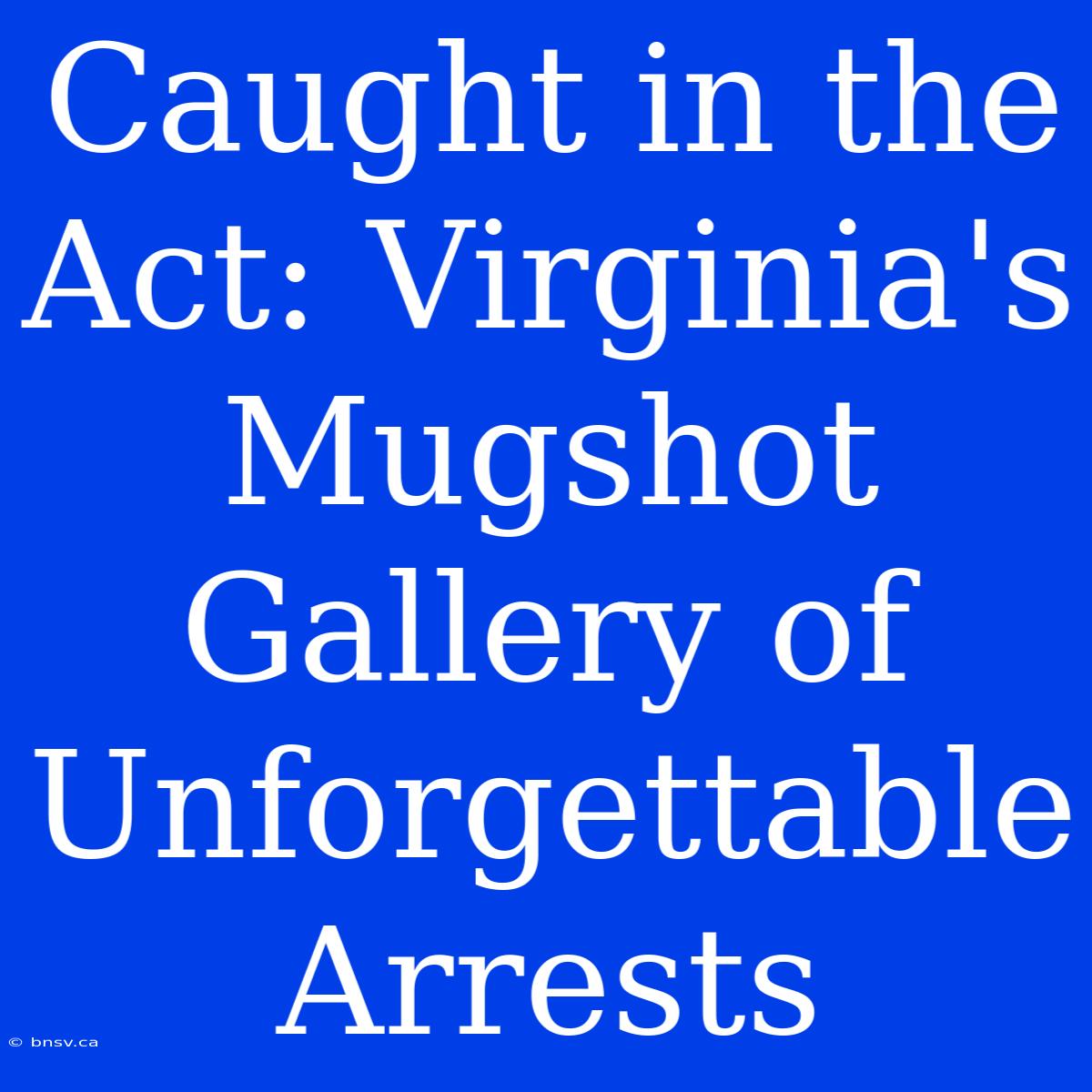 Caught In The Act: Virginia's Mugshot Gallery Of Unforgettable Arrests