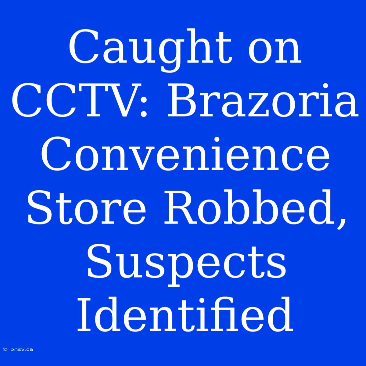 Caught On CCTV: Brazoria Convenience Store Robbed, Suspects Identified