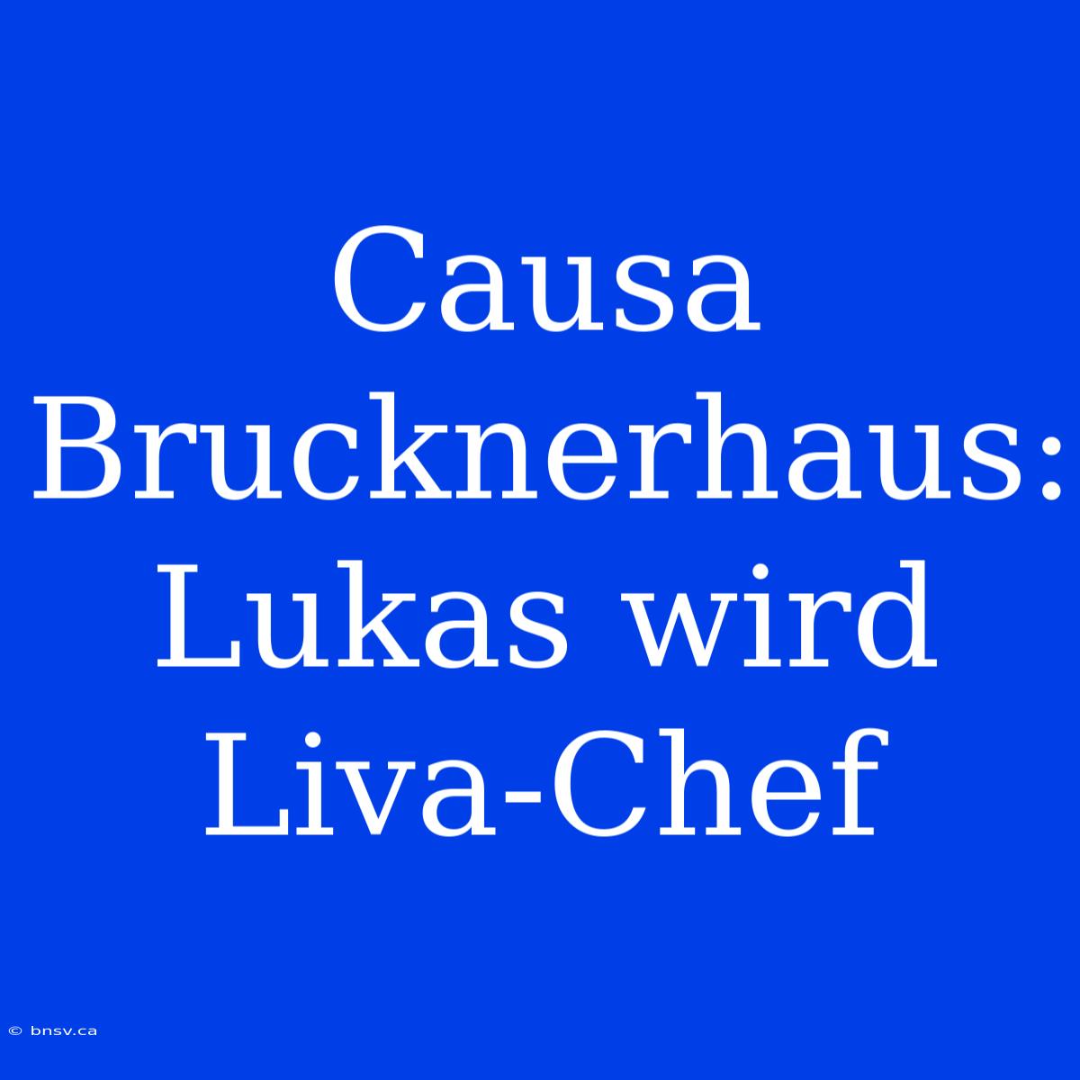 Causa Brucknerhaus: Lukas Wird Liva-Chef