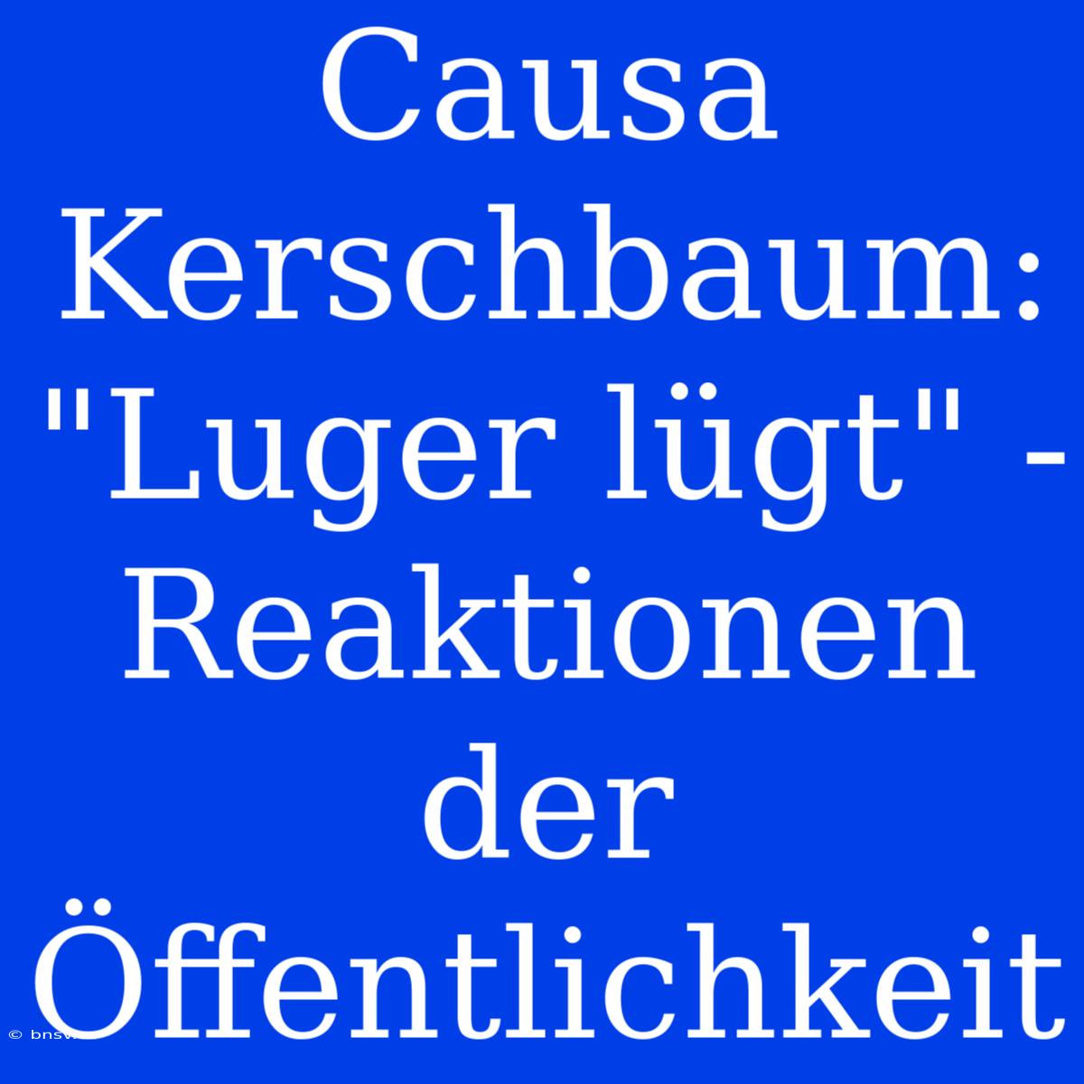 Causa Kerschbaum: 