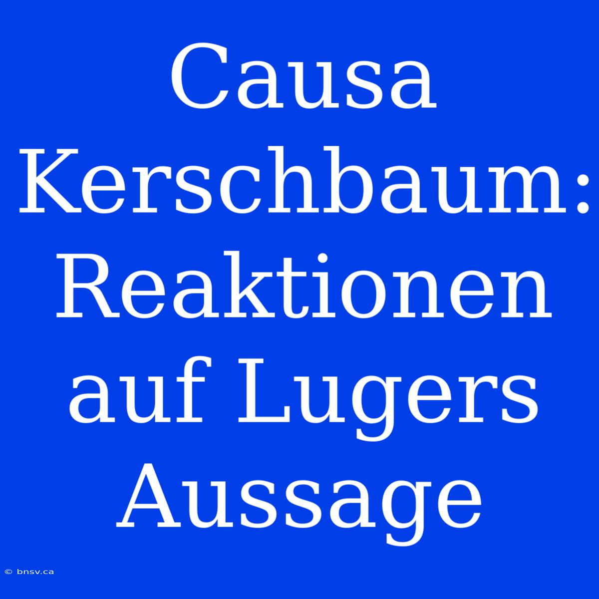 Causa Kerschbaum: Reaktionen Auf Lugers Aussage