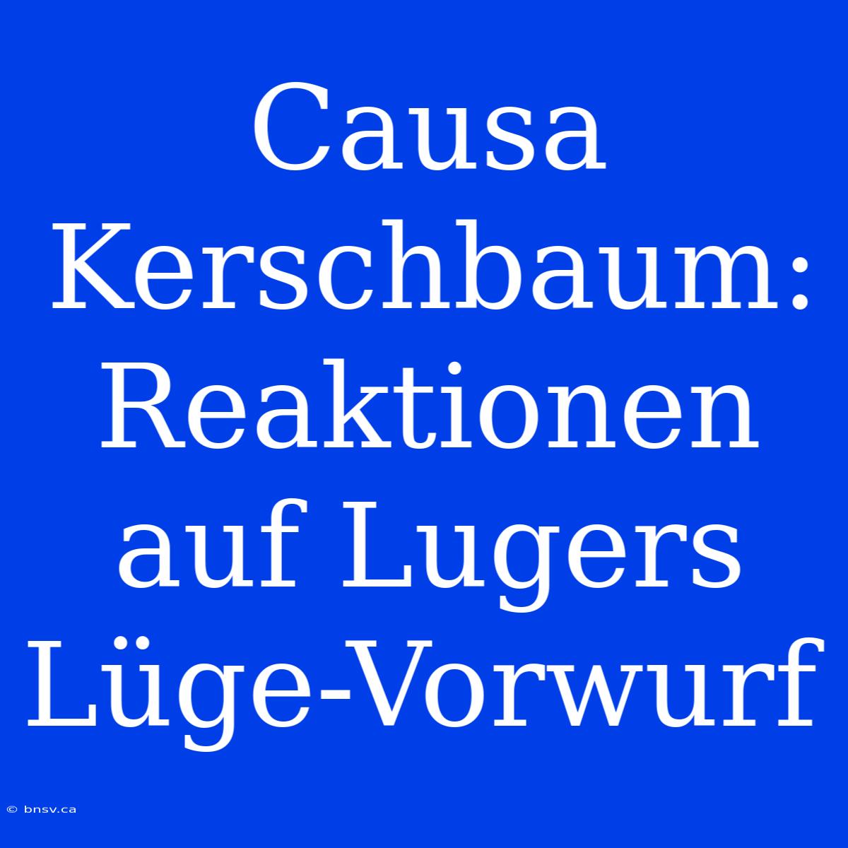 Causa Kerschbaum: Reaktionen Auf Lugers Lüge-Vorwurf