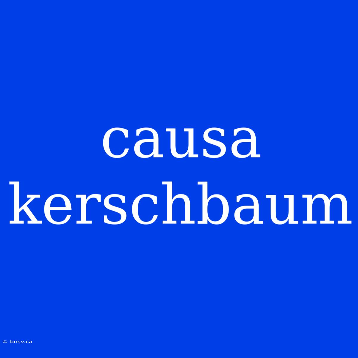 Causa Kerschbaum