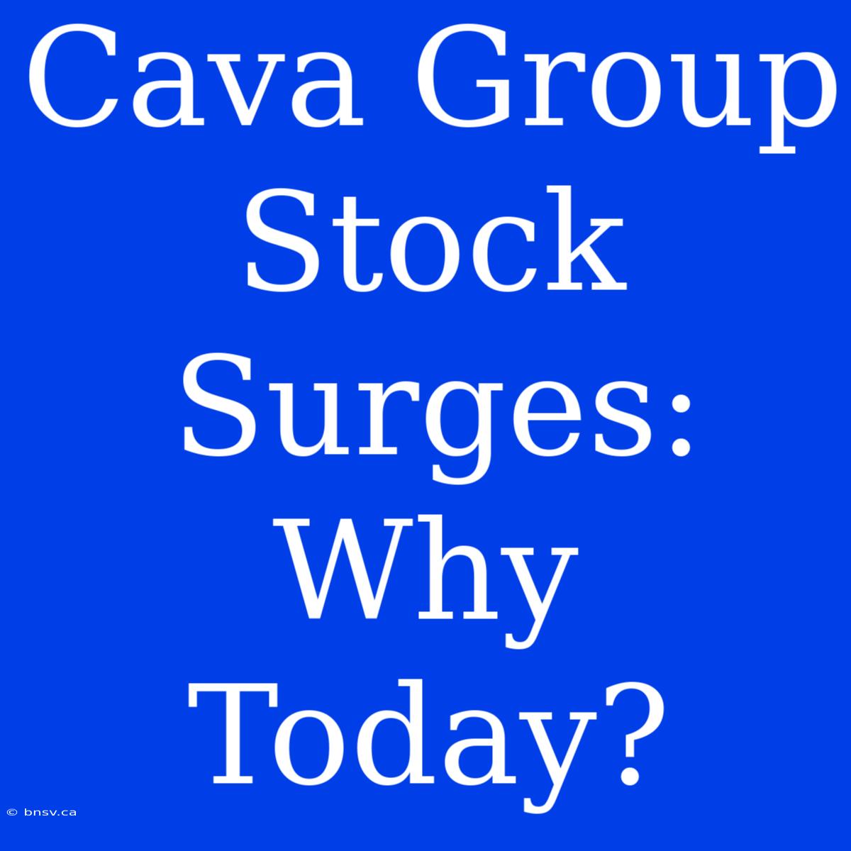 Cava Group Stock Surges: Why Today?