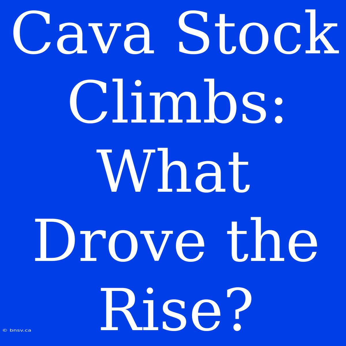 Cava Stock Climbs: What Drove The Rise?