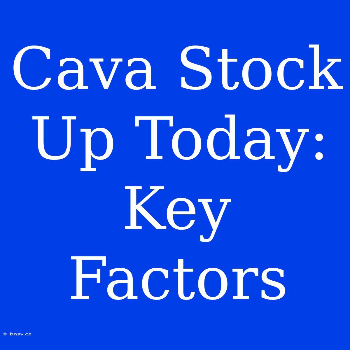 Cava Stock Up Today: Key Factors