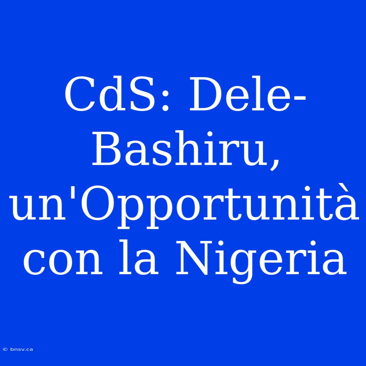 CdS: Dele-Bashiru, Un'Opportunità Con La Nigeria