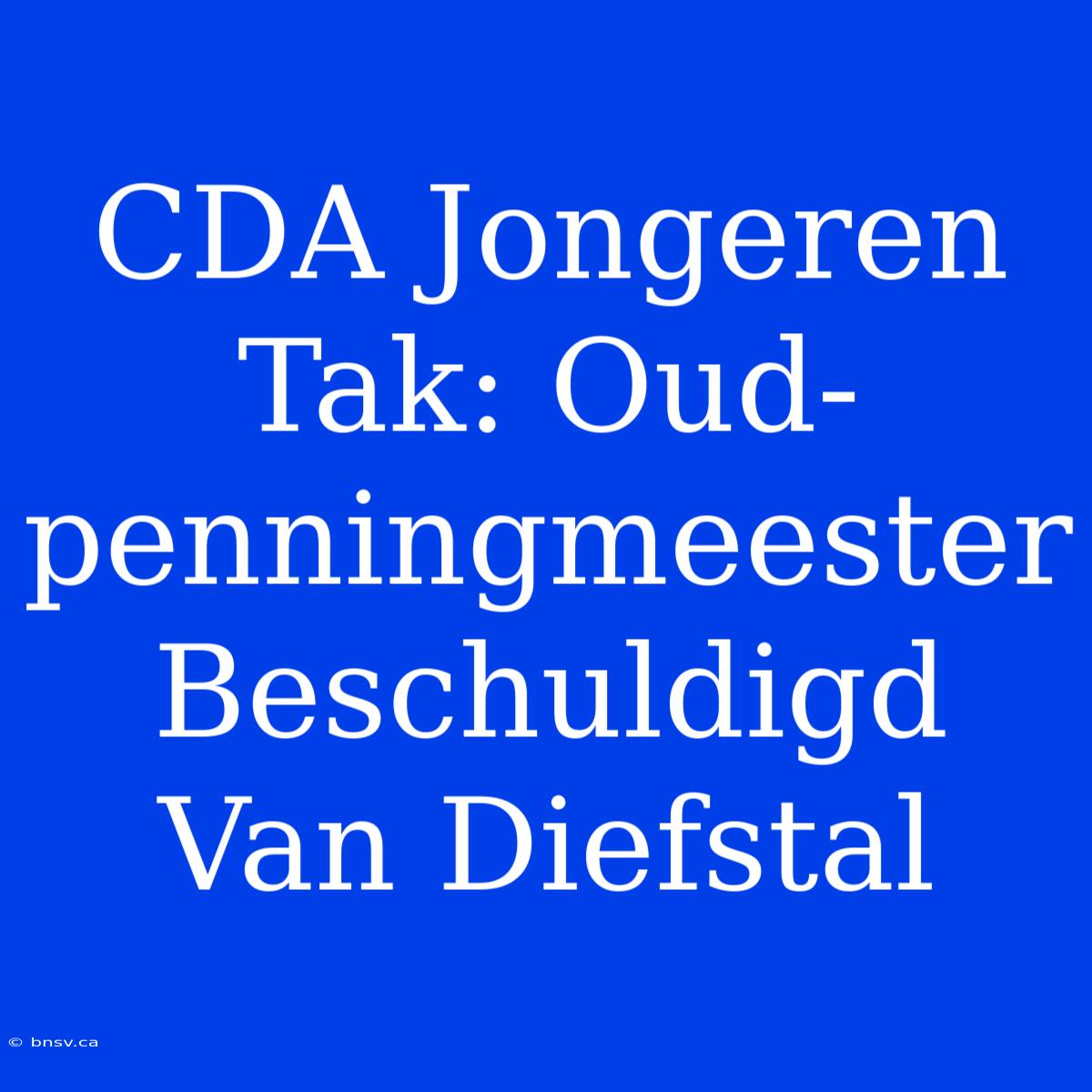 CDA Jongeren Tak: Oud-penningmeester Beschuldigd Van Diefstal