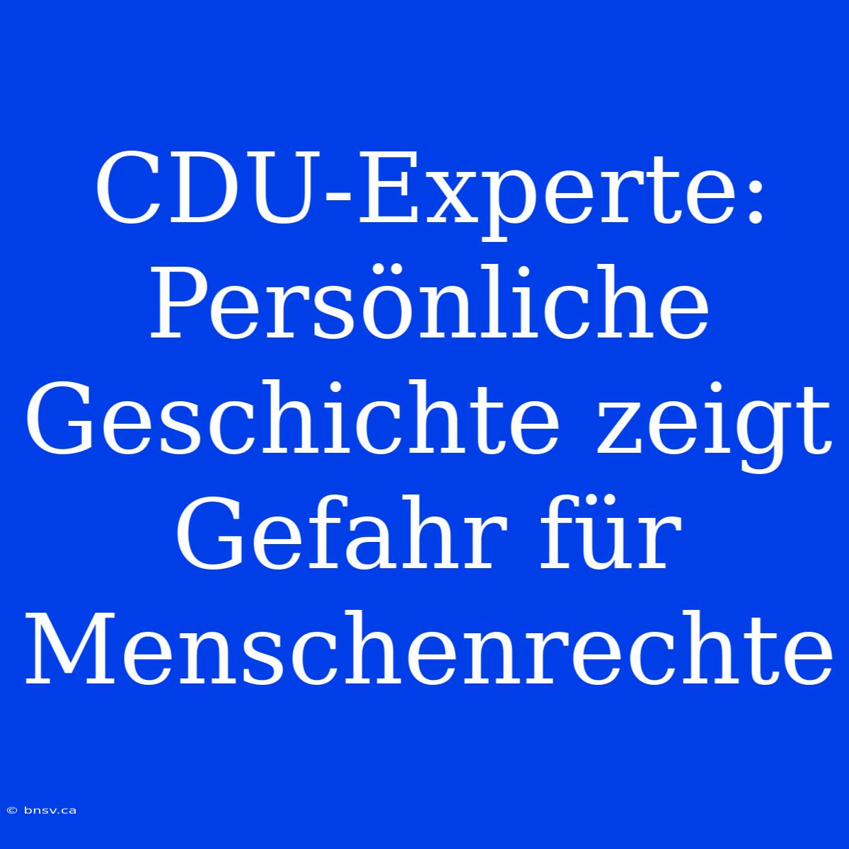 CDU-Experte: Persönliche Geschichte Zeigt Gefahr Für Menschenrechte